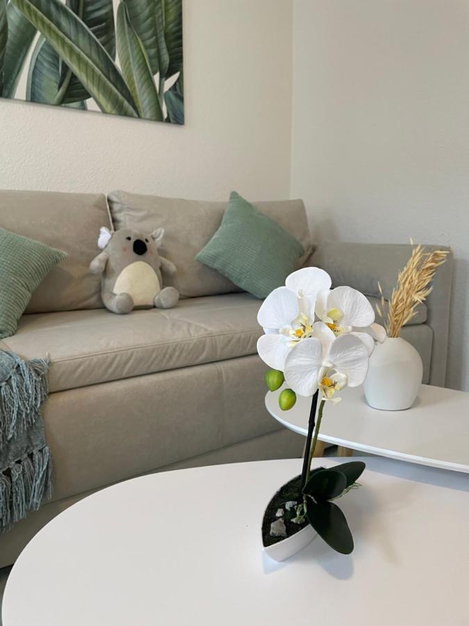 Lucky Stays Ls07 - Vollausstattung - Zentrum - Aufzug - Grosse Kueche - 2 Zimmer - Smart-Tv ماغديبورغ المظهر الخارجي الصورة